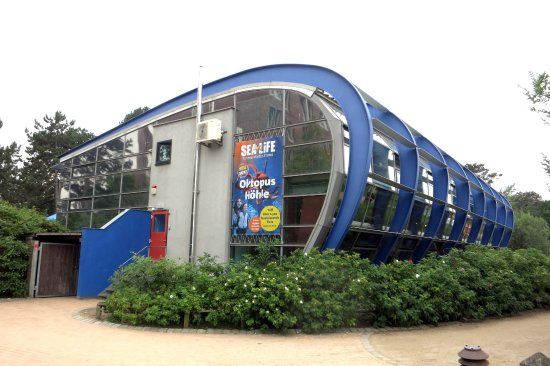 SEA LIFE Timmendorfer Strand